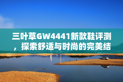 三叶草GW4441新款鞋评测，探索舒适与时尚的完美结合