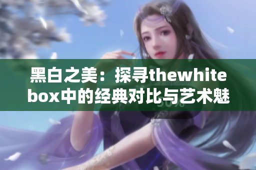 黑白之美：探寻thewhitebox中的经典对比与艺术魅力