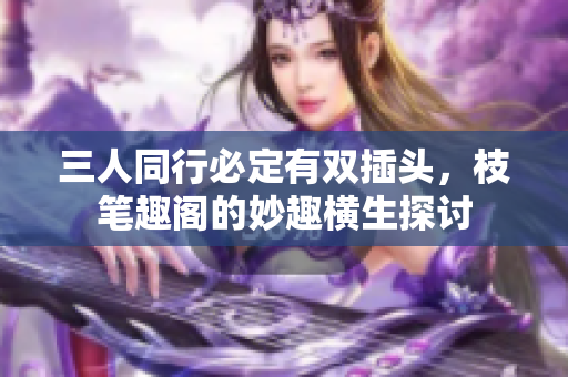 三人同行必定有双插头，枝笔趣阁的妙趣横生探讨