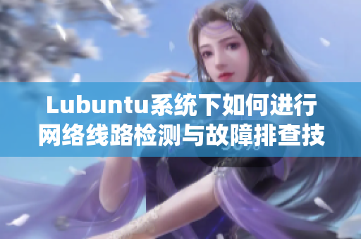 Lubuntu系统下如何进行网络线路检测与故障排查技巧