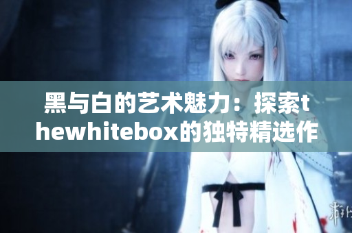 黑与白的艺术魅力：探索thewhitebox的独特精选作品