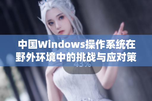 中国Windows操作系统在野外环境中的挑战与应对策略分析