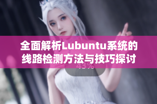 全面解析Lubuntu系统的线路检测方法与技巧探讨