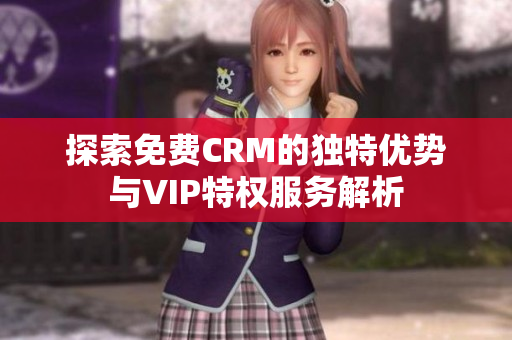 探索免费CRM的独特优势与VIP特权服务解析