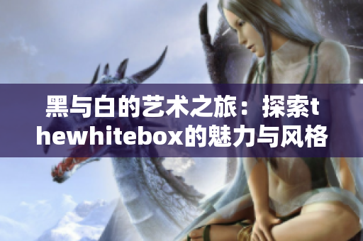 黑与白的艺术之旅：探索thewhitebox的魅力与风格