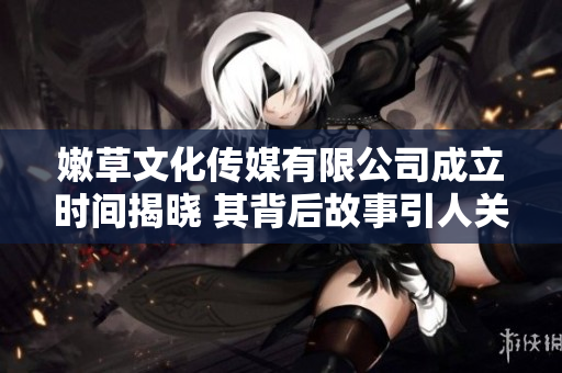 嫩草文化传媒有限公司成立时间揭晓 其背后故事引人关注