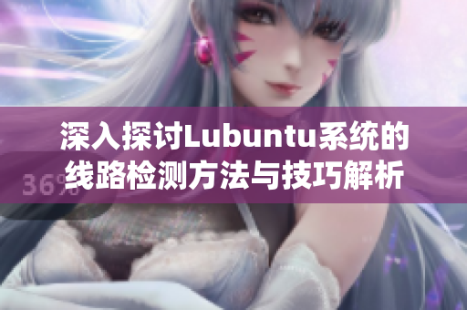 深入探讨Lubuntu系统的线路检测方法与技巧解析