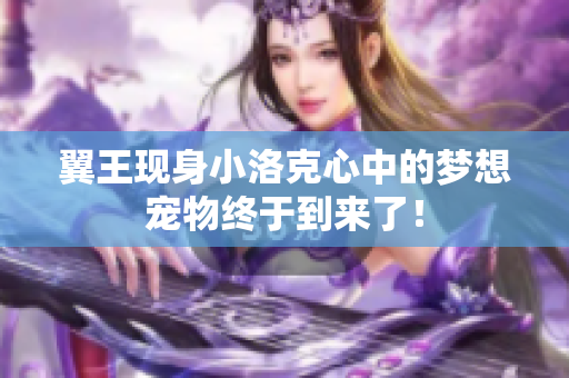 翼王现身小洛克心中的梦想宠物终于到来了！