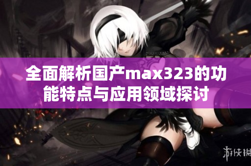 全面解析国产max323的功能特点与应用领域探讨