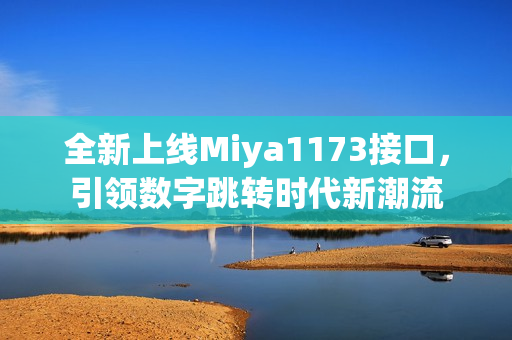 全新上线Miya1173接口，引领数字跳转时代新潮流