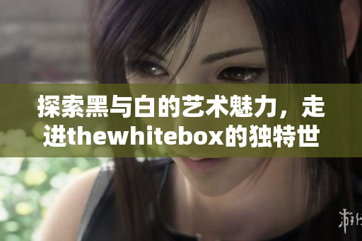 探索黑与白的艺术魅力，走进thewhitebox的独特世界