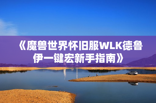 《魔兽世界怀旧服WLK德鲁伊一键宏新手指南》