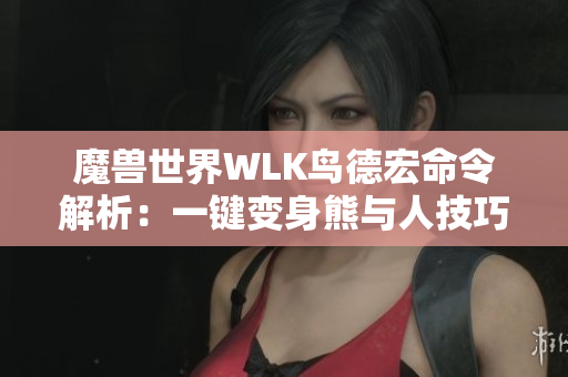 魔兽世界WLK鸟德宏命令解析：一键变身熊与人技巧分享