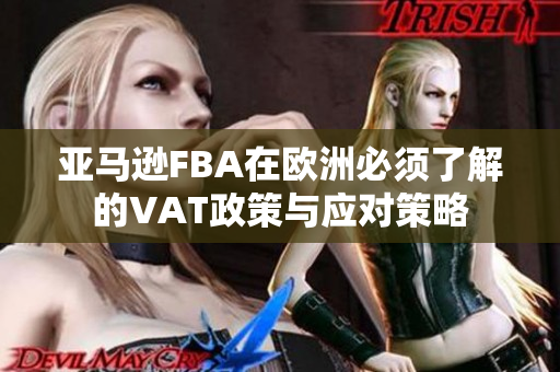 亚马逊FBA在欧洲必须了解的VAT政策与应对策略