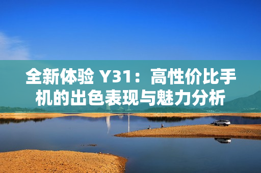 全新体验 Y31：高性价比手机的出色表现与魅力分析