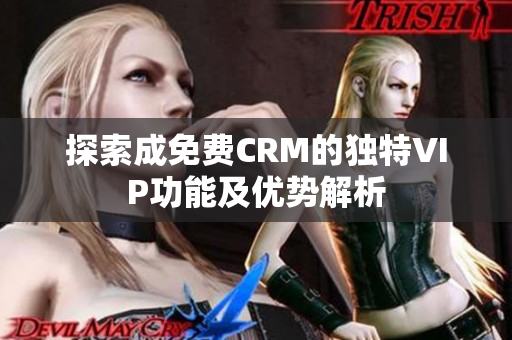 探索成免费CRM的独特VIP功能及优势解析