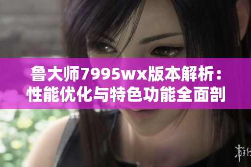 鲁大师7995wx版本解析：性能优化与特色功能全面剖析