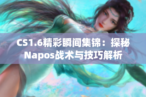 CS1.6精彩瞬间集锦：探秘Napos战术与技巧解析