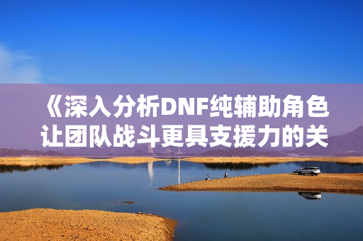 《深入分析DNF纯辅助角色 让团队战斗更具支援力的关键》