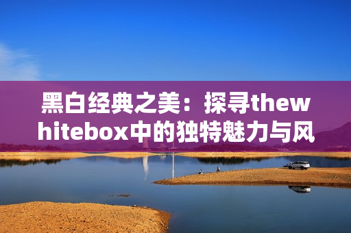 黑白经典之美：探寻thewhitebox中的独特魅力与风格