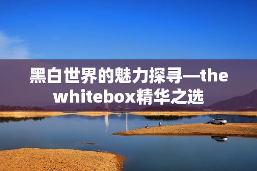 黑白世界的魅力探寻—thewhitebox精华之选