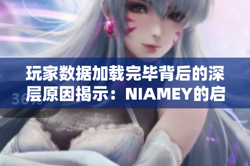 玩家数据加载完毕背后的深层原因揭示：NIAMEY的启示