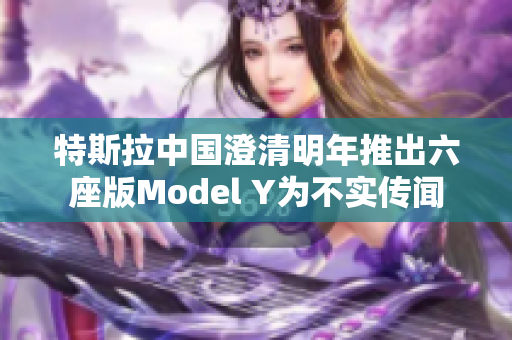 特斯拉中国澄清明年推出六座版Model Y为不实传闻