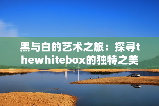 黑与白的艺术之旅：探寻thewhitebox的独特之美