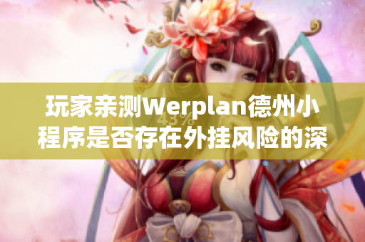 玩家亲测Werplan德州小程序是否存在外挂风险的深度分析与探讨