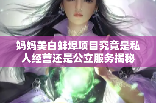 妈妈美白蚌埠项目究竟是私人经营还是公立服务揭秘