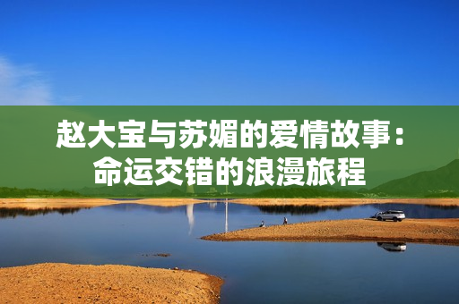 赵大宝与苏媚的爱情故事：命运交错的浪漫旅程