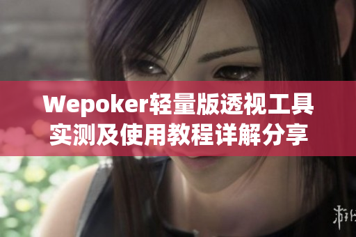 Wepoker轻量版透视工具实测及使用教程详解分享