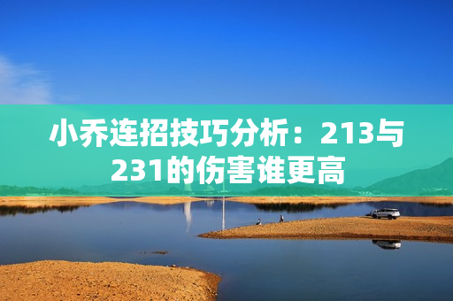 小乔连招技巧分析：213与231的伤害谁更高