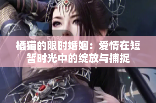 橘猫的限时婚姻：爱情在短暂时光中的绽放与捕捉