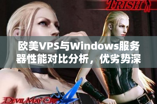 欧美VPS与Windows服务器性能对比分析，优劣势深入探讨