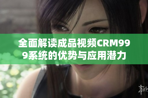 全面解读成品视频CRM999系统的优势与应用潜力