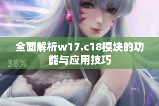 全面解析w17.c18模块的功能与应用技巧