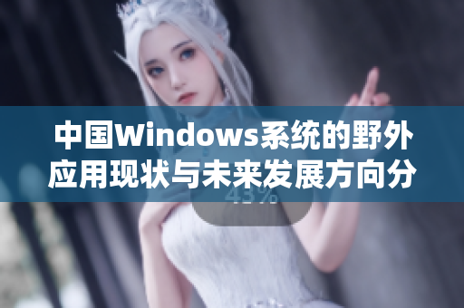 中国Windows系统的野外应用现状与未来发展方向分析