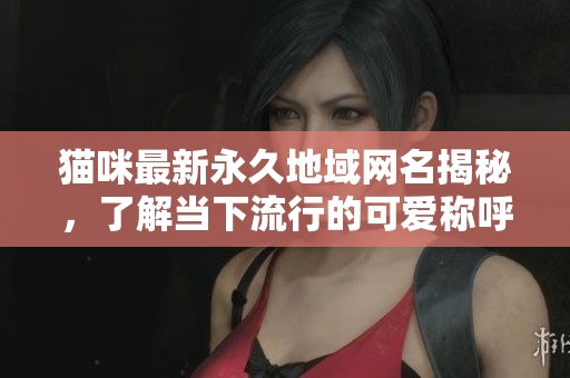 猫咪最新永久地域网名揭秘，了解当下流行的可爱称呼