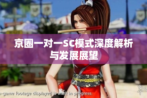 京圈一对一SC模式深度解析与发展展望