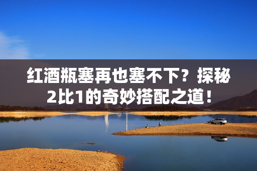 红酒瓶塞再也塞不下？探秘2比1的奇妙搭配之道！