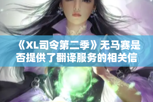 《XL司令第二季》无马赛是否提供了翻译服务的相关信息？