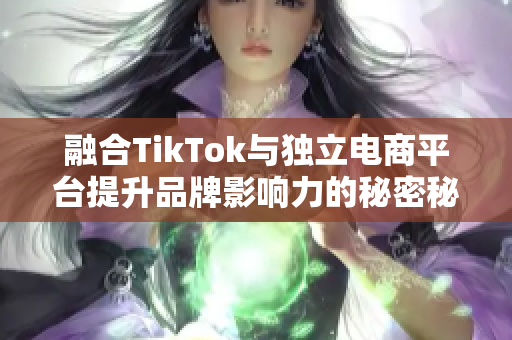 融合TikTok与独立电商平台提升品牌影响力的秘密秘诀