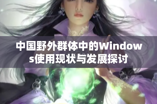 中国野外群体中的Windows使用现状与发展探讨