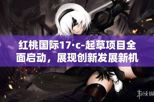 红桃国际17·c-起草项目全面启动，展现创新发展新机遇