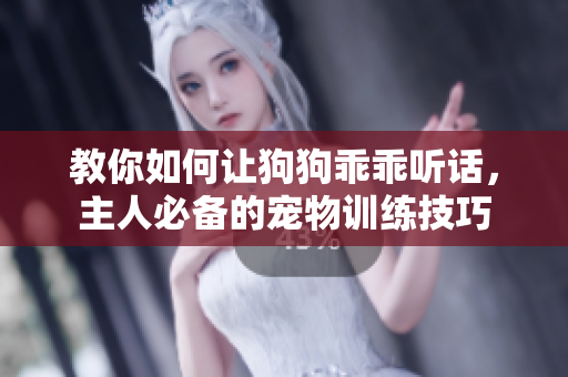 教你如何让狗狗乖乖听话，主人必备的宠物训练技巧