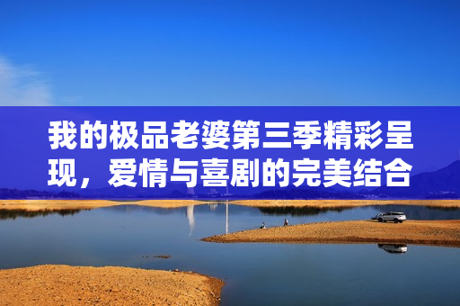 我的极品老婆第三季精彩呈现，爱情与喜剧的完美结合