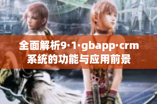 全面解析9·1·gbapp·crm系统的功能与应用前景