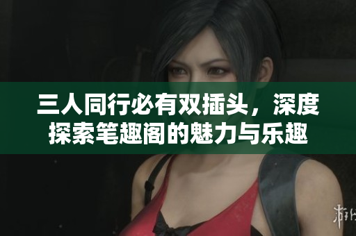 三人同行必有双插头，深度探索笔趣阁的魅力与乐趣