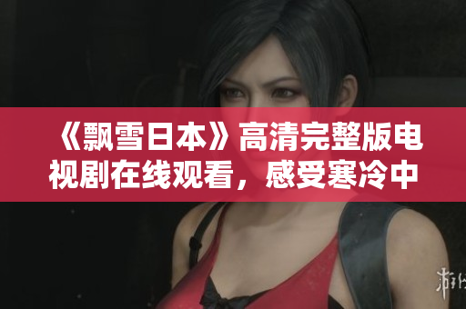 《飘雪日本》高清完整版电视剧在线观看，感受寒冷中温暖的人情故事